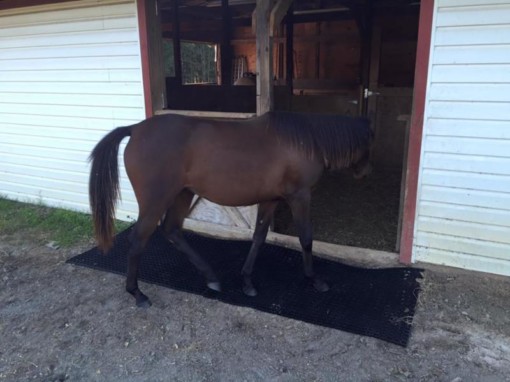 stable mat with a horse walking into a stable