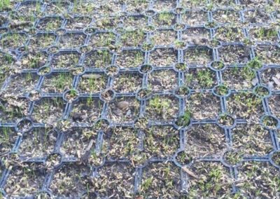 rubber mat with a bit of grass growing through