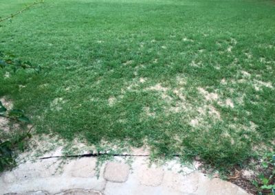 green grass growing through a rubber mat