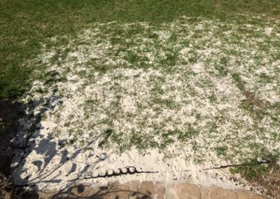 a rubber mat on some sand with green grass growing through