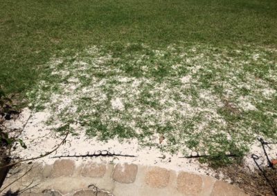 a rubber mat on sand with green grass growing through most of it