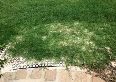 rubber mat with green grass growing through and some sand below