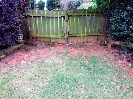 worn out grass near a gate to demonstrate how a rubber grass mat can help