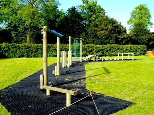 a workout course with monkey bars and other challenging obstacles in a backyard