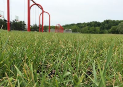 close up of rubber grass mats with grass growing through so you can hardly see the mat