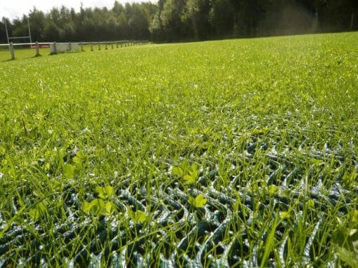 Close up of grass growing through ground protection mesh