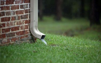 Grass Mats for Erosion Control