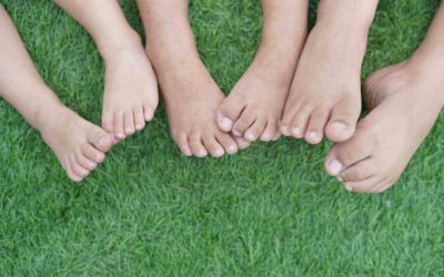 How to Protect Your Lawn From Heavy Foot Traffic