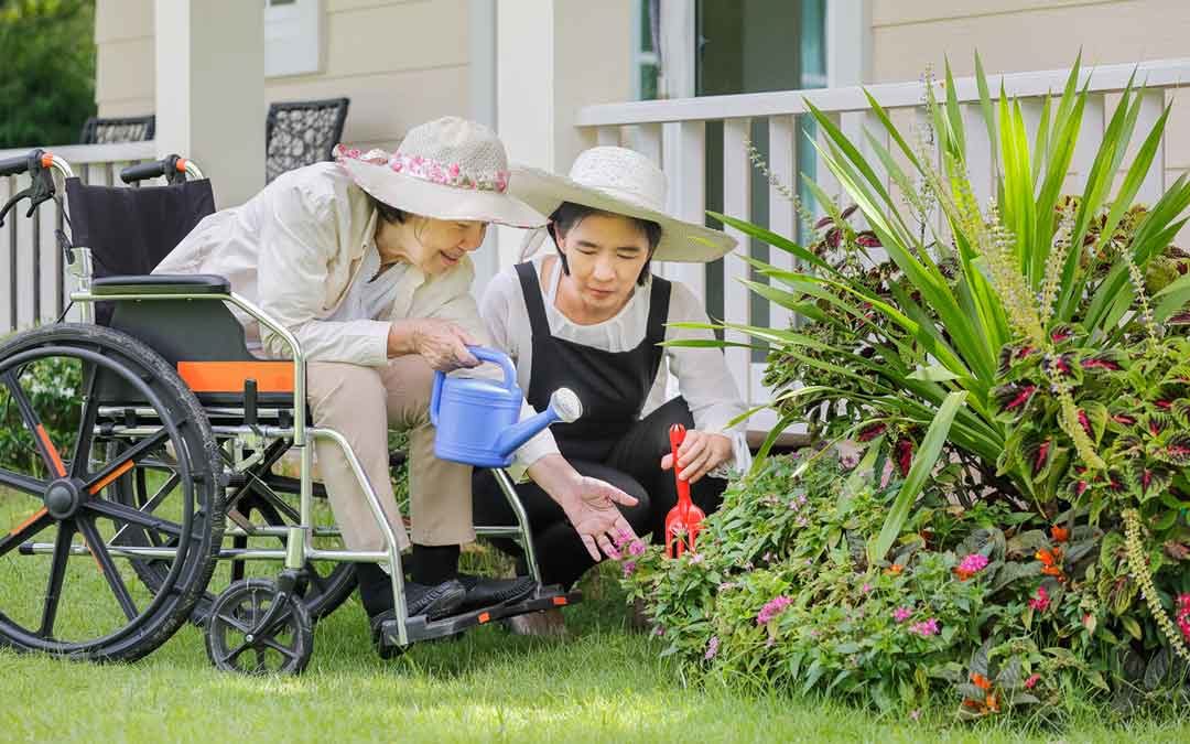 woman on wheelchair working in the lawn