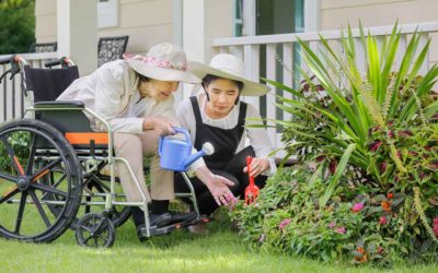 Effective Help For Summer Lawns