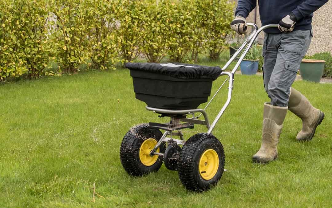 man protecting lawn using fertilizer spreader