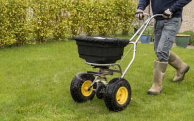 Protecting Your Lawn This Summer Is Easier Than You Think