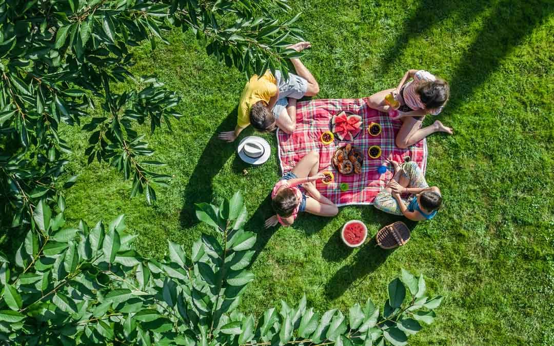 family enjoying picnic on protected lawn