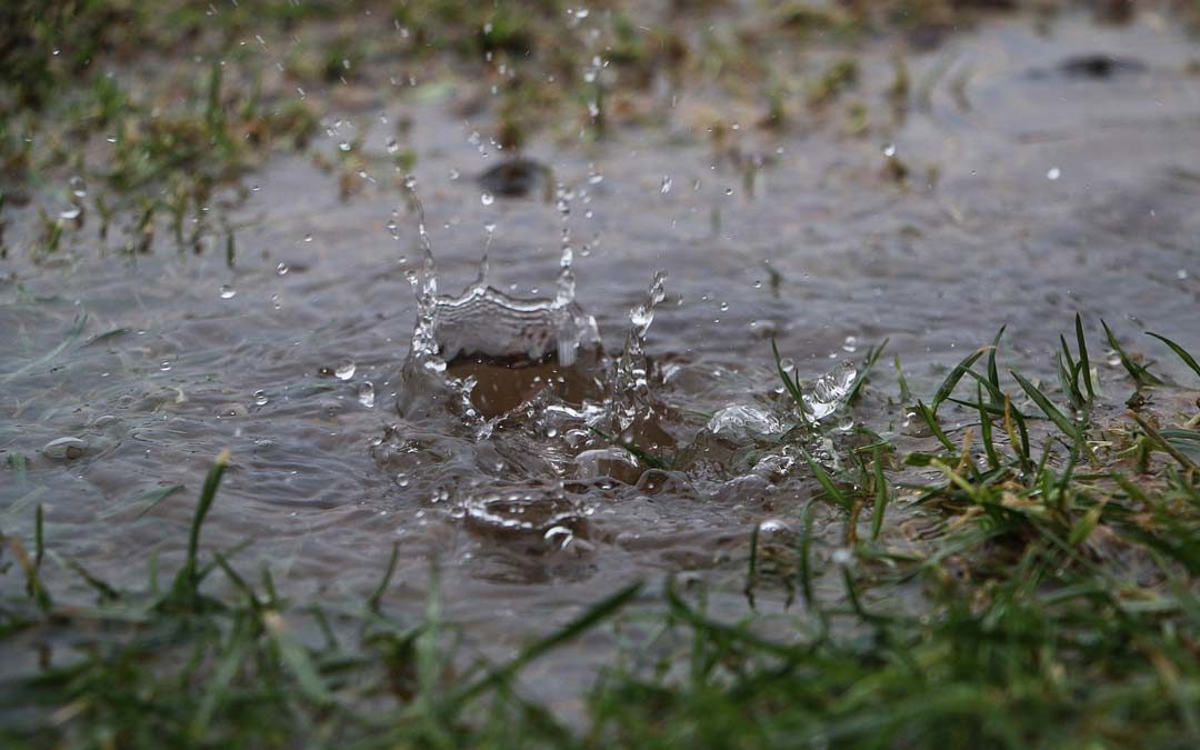 water pooling in lawn