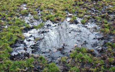 Safeguard Your Lawn From Mud and Erosion