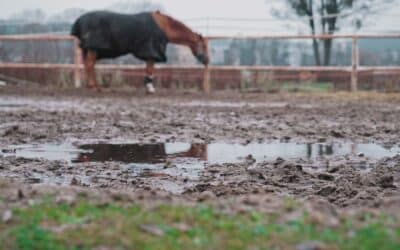 The Solution for Muddy Stables