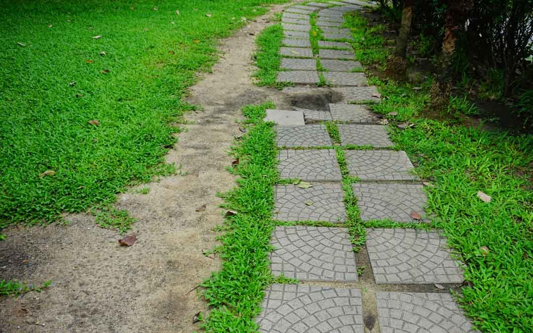 stone walkway with landscape erosion