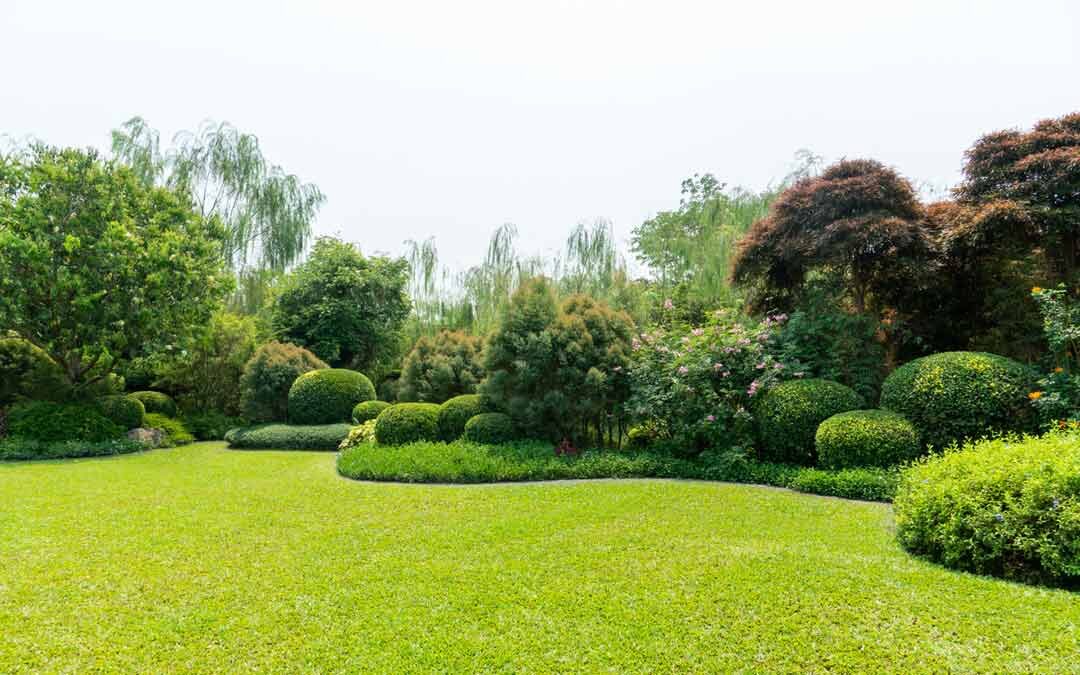 scenic view of beautiful residential lawn